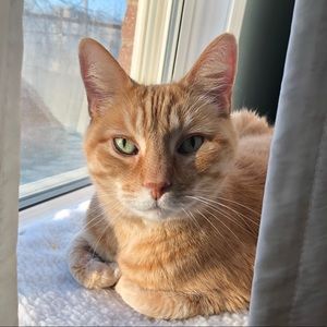 Meet your Posher, Frannie